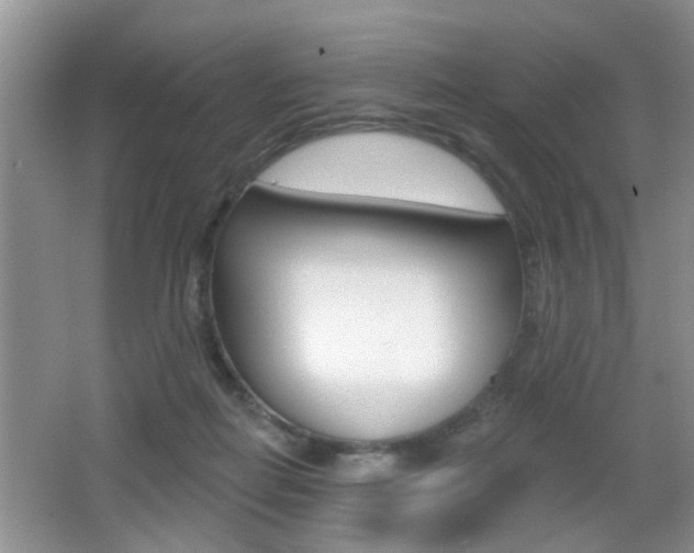 X0000065990266200603031010