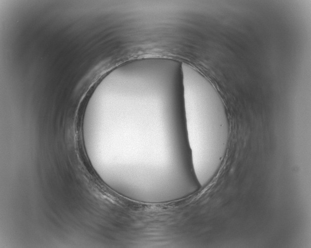 X0000065990290200603031009