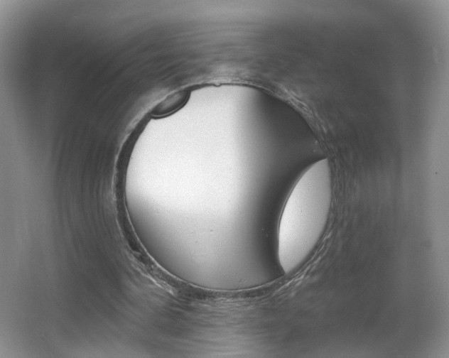 X0000065990292200603031009