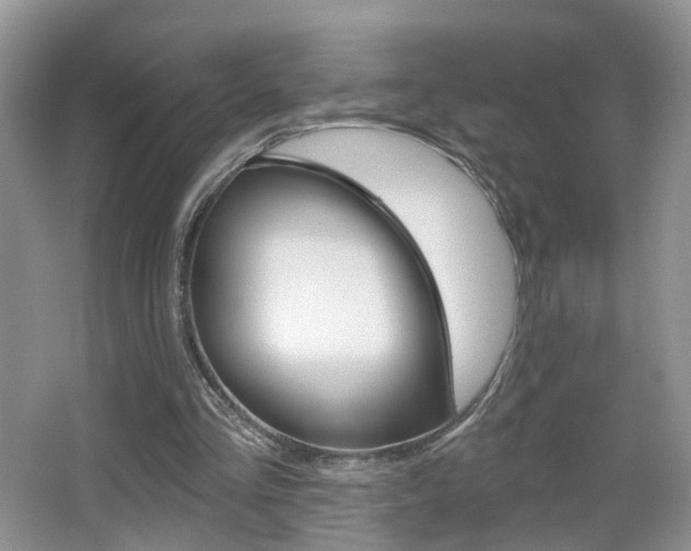X0000065990293200603031009