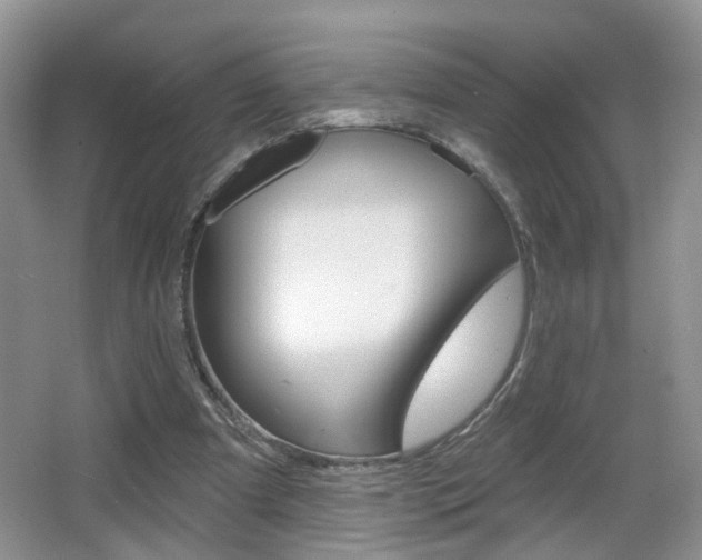 X0000065990297200603031009