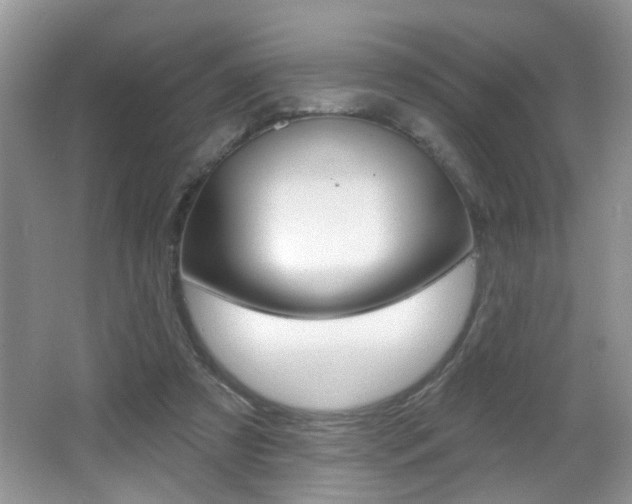 X0000065990305200603031009