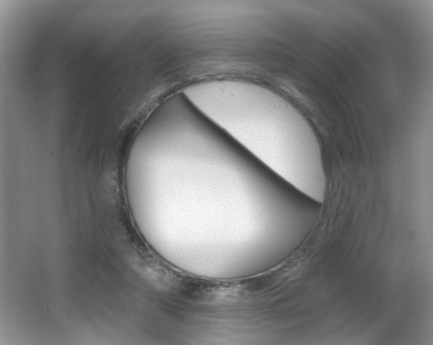 X0000065990306200603031009