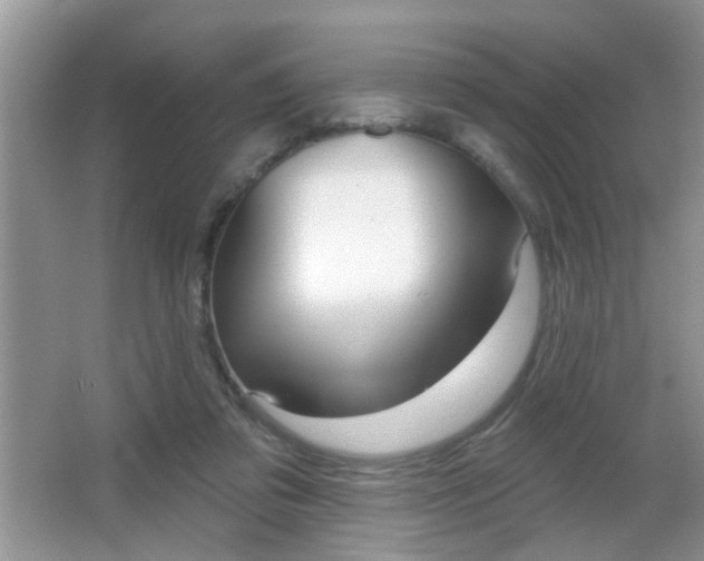 X0000065990309200603031009