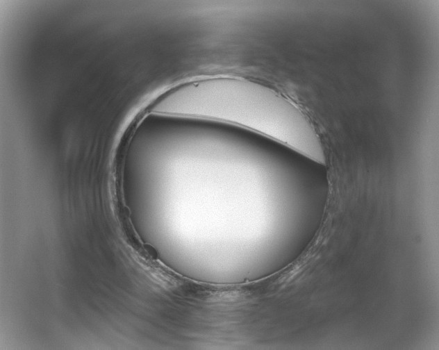 X0000065990342200603031008