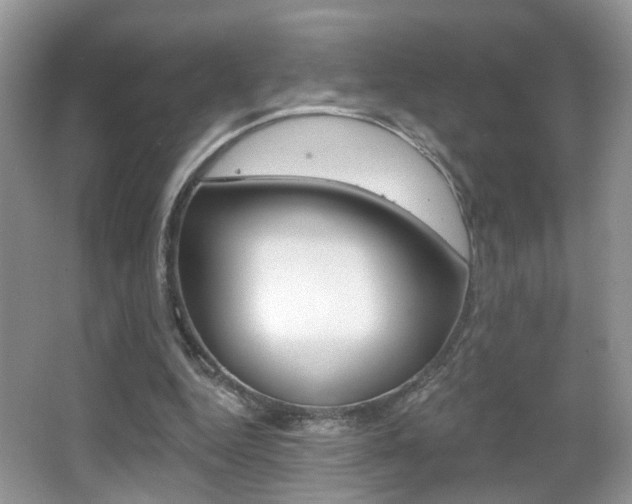 X0000065990344200603031008