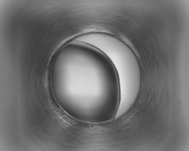 X0000065990387200603031007