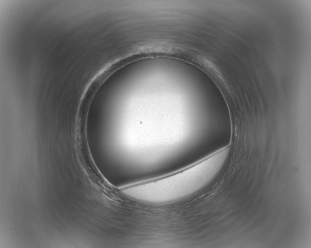 X0000065990388200603031007