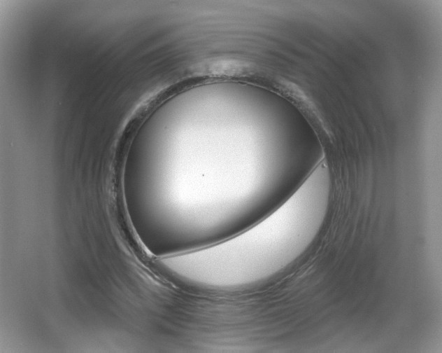 X0000065990392200603031007