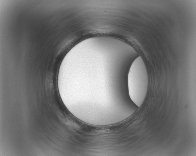 X0000065990396200603031007