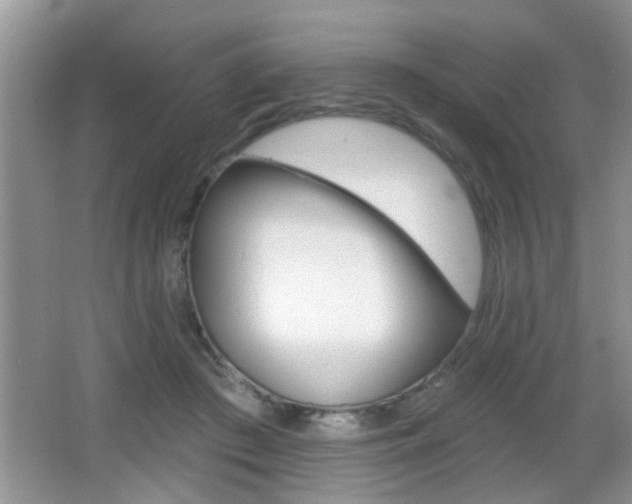 X0000065990409200603031007