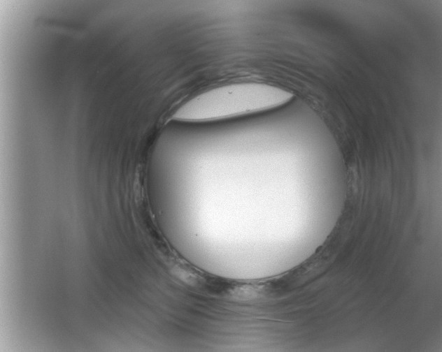 X0000065990422200603031007