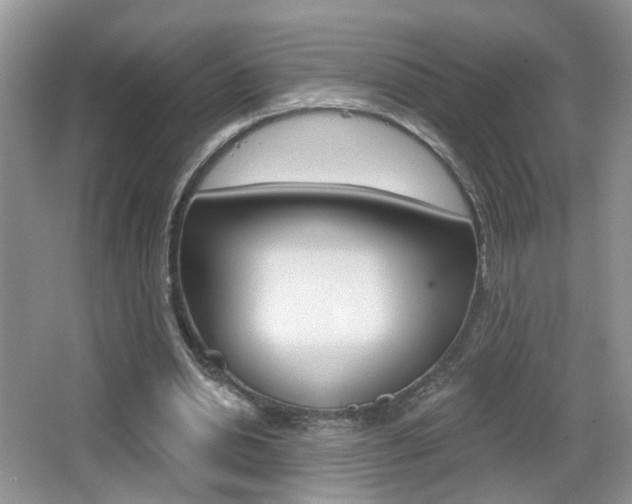 X0000065990438200603031006