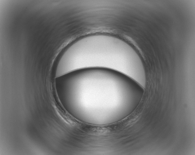 X0000065990443200603031006
