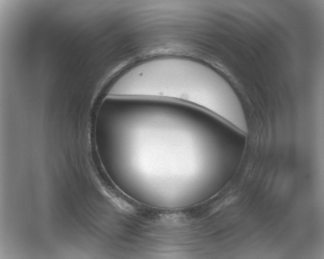 X0000065990446200603031006