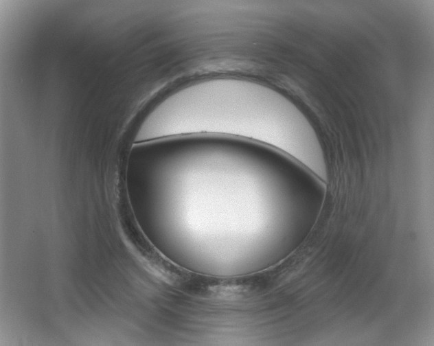 X0000065990448200603031006