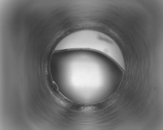 X0000065990452200603031006