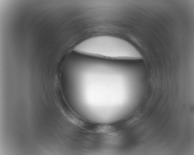 X0000065990459200603031006