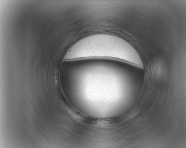 X0000065990462200603031006