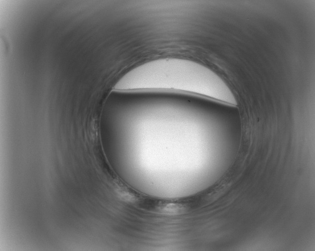 X0000065990467200603031006