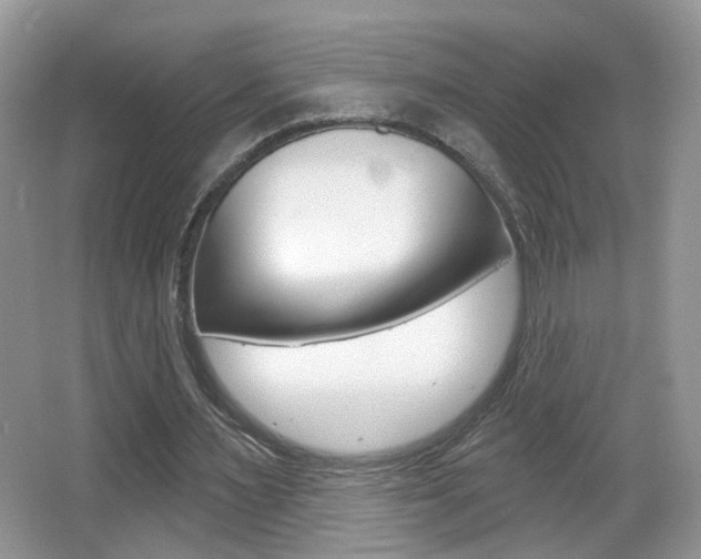 X0000065990483200603031006