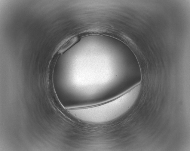 X0000065990484200603031006