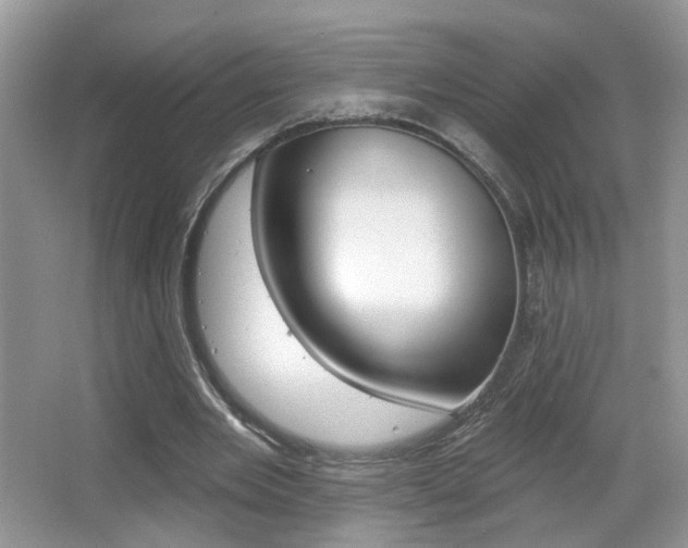 X0000065990485200603031006