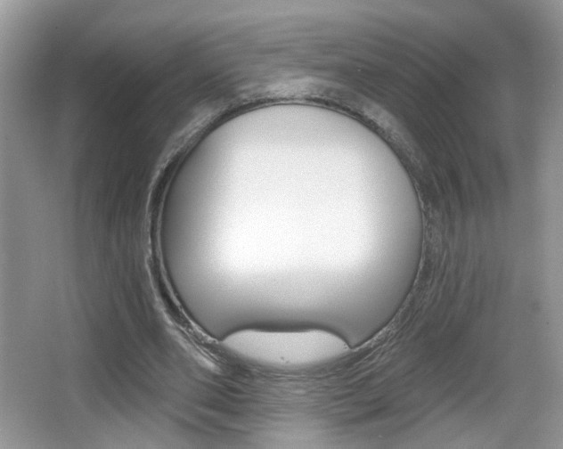 X0000065990486200603031006