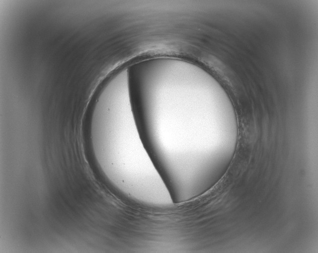 X0000065990487200603031006