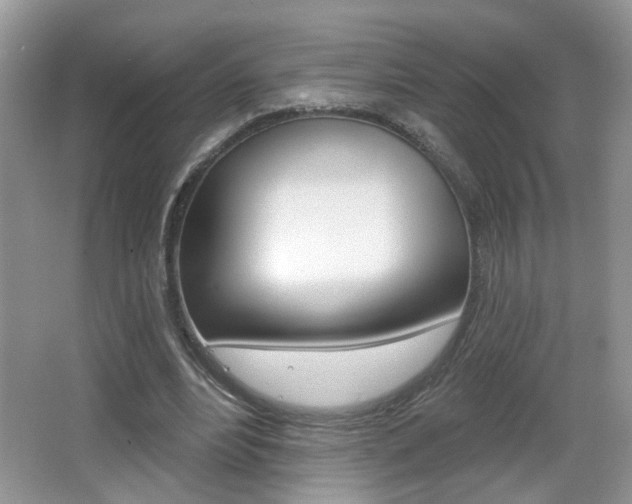 X0000065990488200603031006