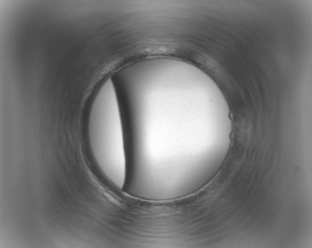 X0000065990490200603031006