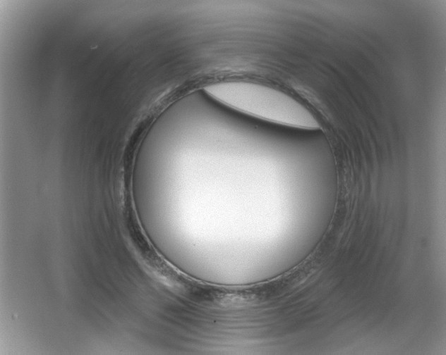 X0000065990494200603031006