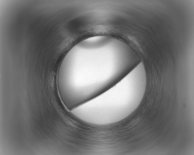 X0000065990495200603031006