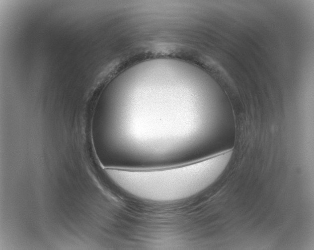 X0000065990496200603031006