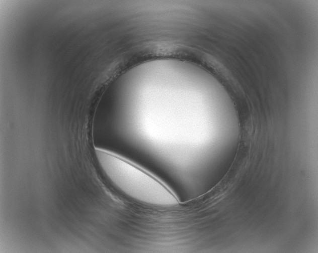 X0000065990497200603031006