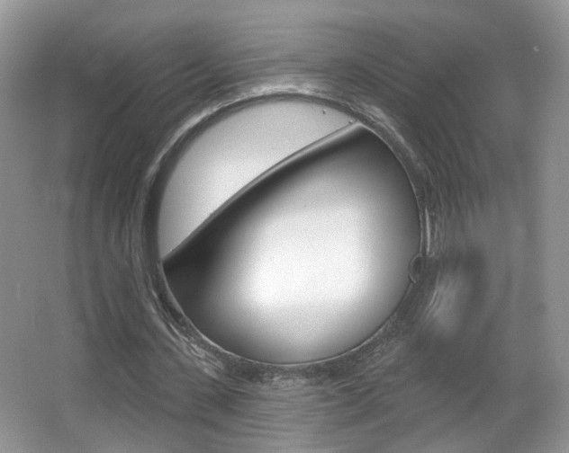 X0000065990531200603031004