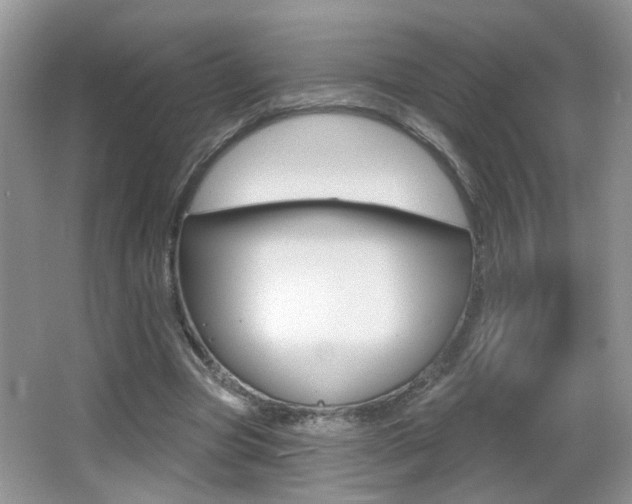 X0000065990537200603031004