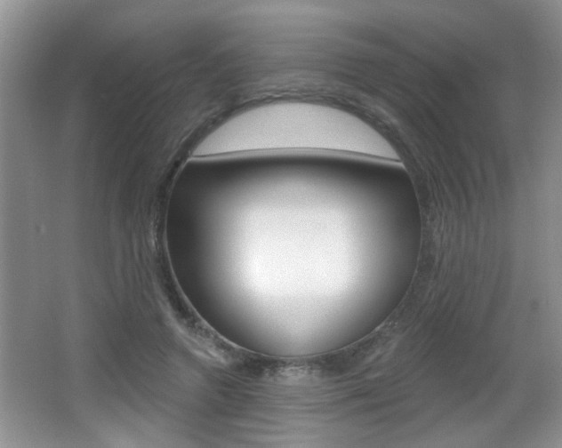 X0000065990546200603031005
