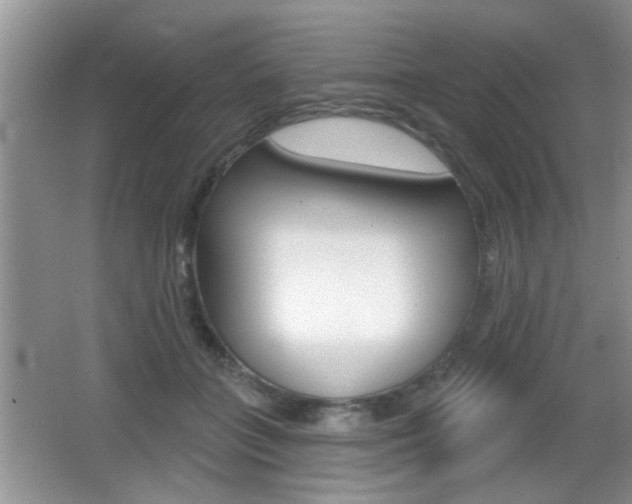 X0000065990555200603031005