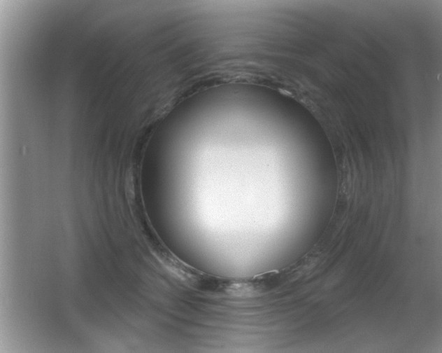 X0000065990562200603031005