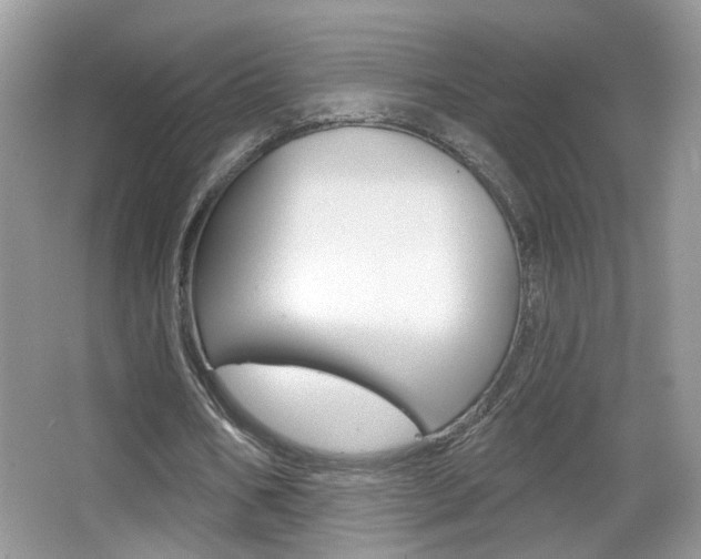 X0000065990578200603031004