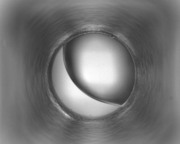 X0000065990581200603031004