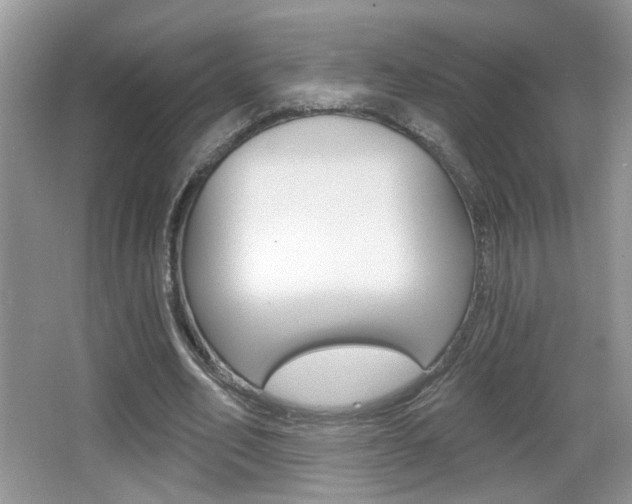 X0000065990582200603031004