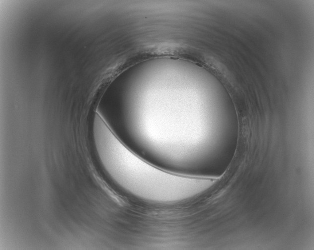 X0000065990589200603031004