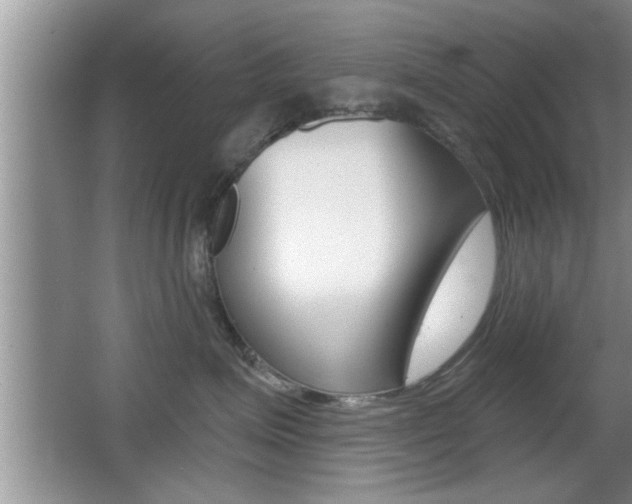 X0000065990623200603031003