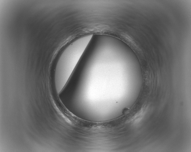 X0000065990634200603031003