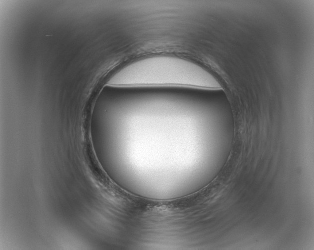 X0000065990635200603031003