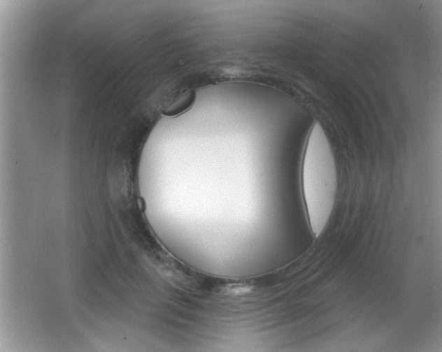 X0000065990651200603031003