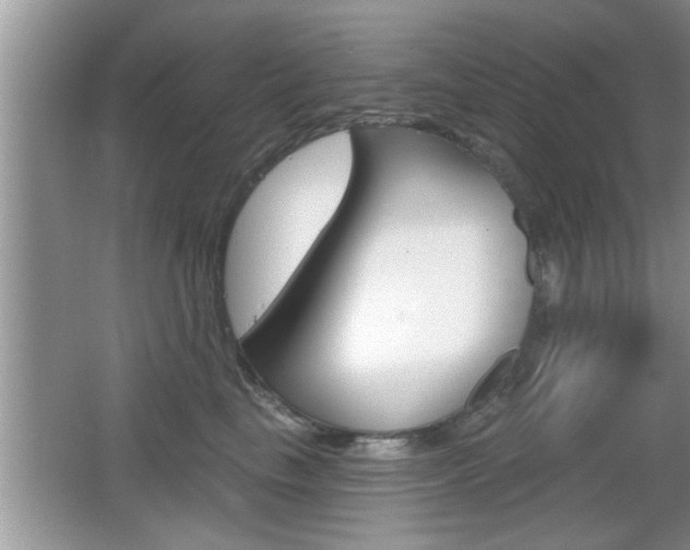 X0000065990665200603031003