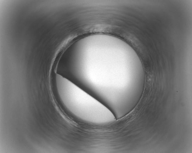X0000065990678200603031003